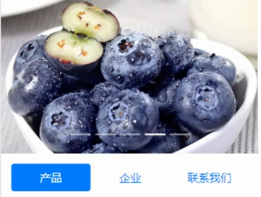 产品 + 企业介绍