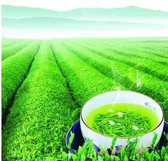 茶叶二维码溯源系统